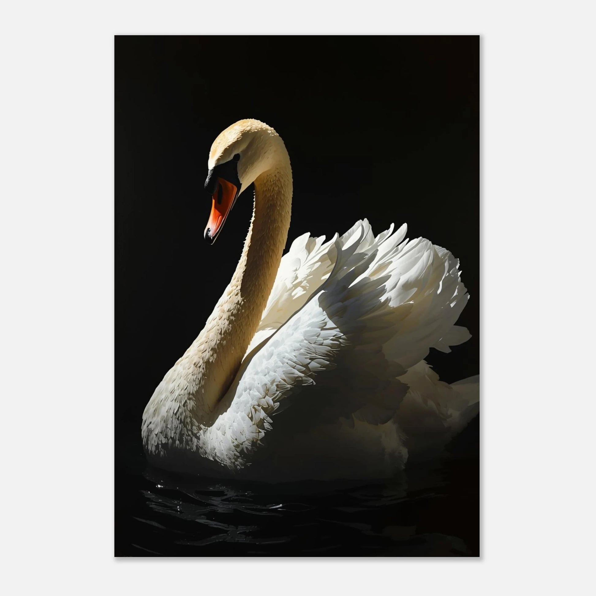 Svanens tysta elegans som canvastryck med kraftig textur och svärta