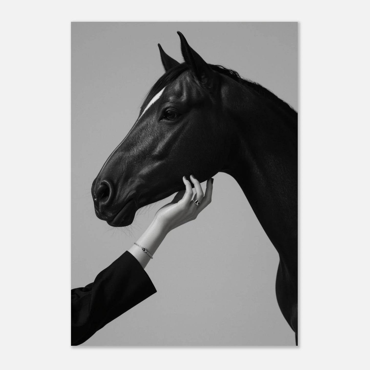Konstnärligt fotografi av en häst i profil med eleganta linjer, svartvitt tryck