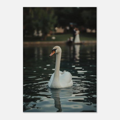 Filmisk djurposter av en svan med suddig parkmiljö i bakgrunden