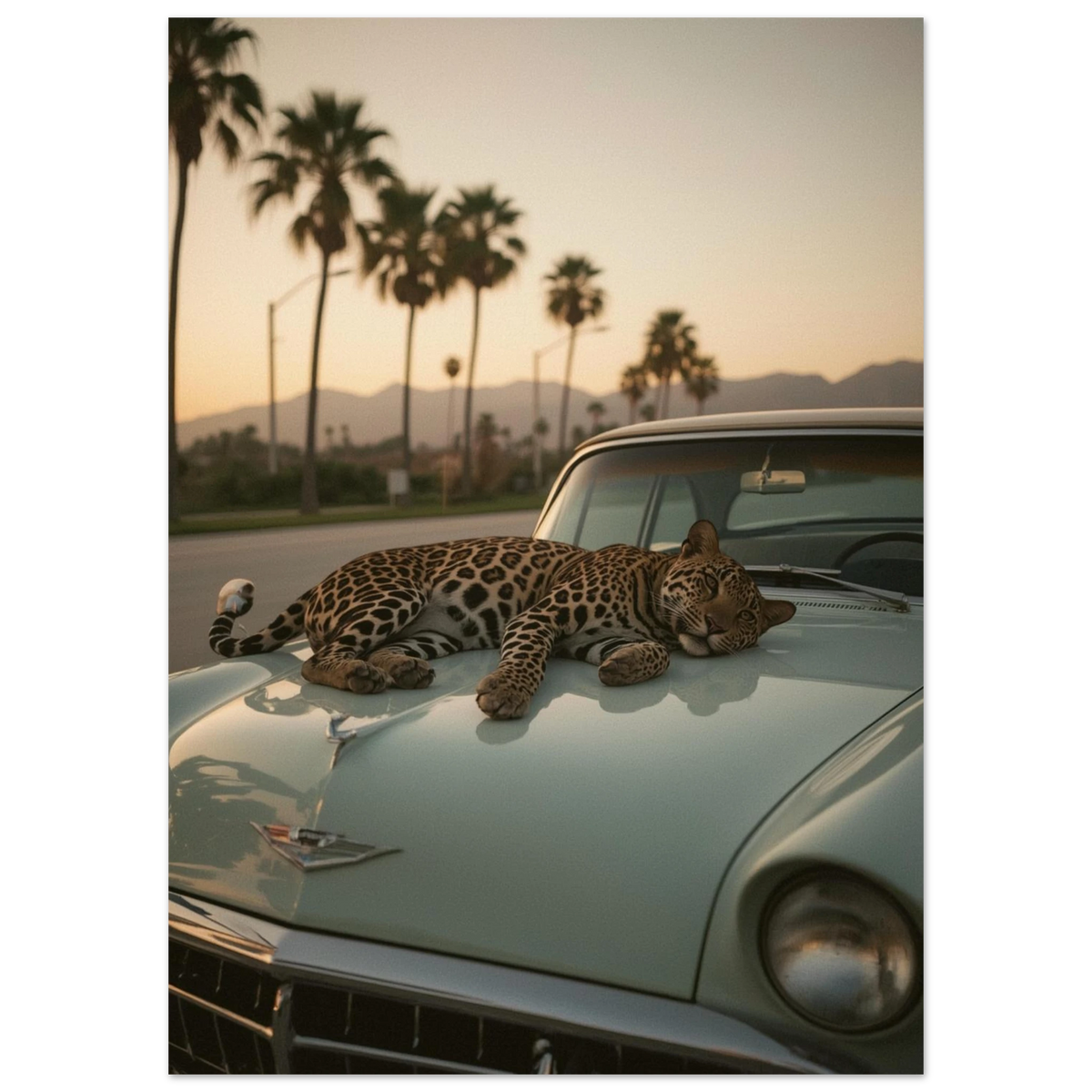 Närbild på leopard som sover på en ljusgrön klassisk bil