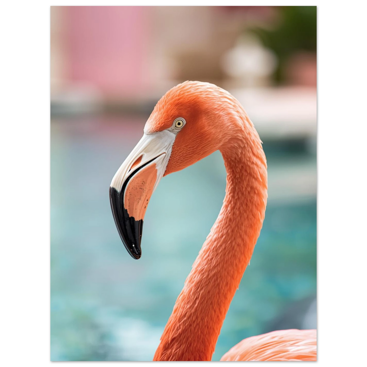 Detaljerat porträtt av en flamingo med vaksamt öga – naturfotografi