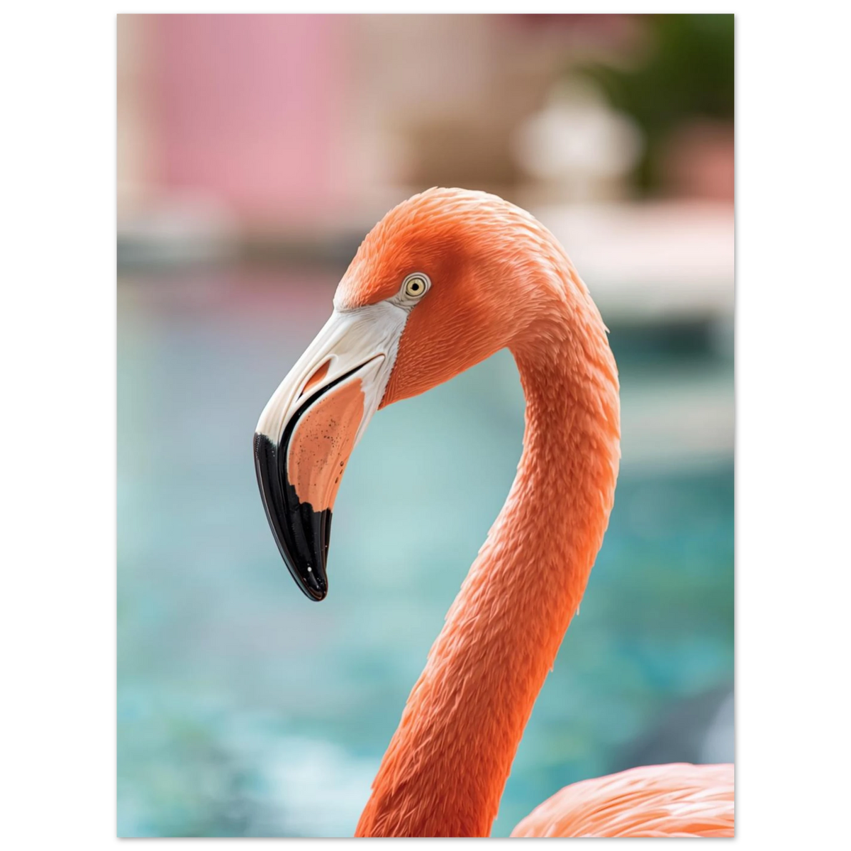 Detaljerat porträtt av en flamingo med vaksamt öga – naturfotografi
