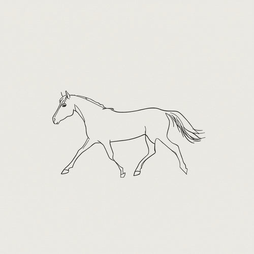Skandinavisk Minimalism & Grafik