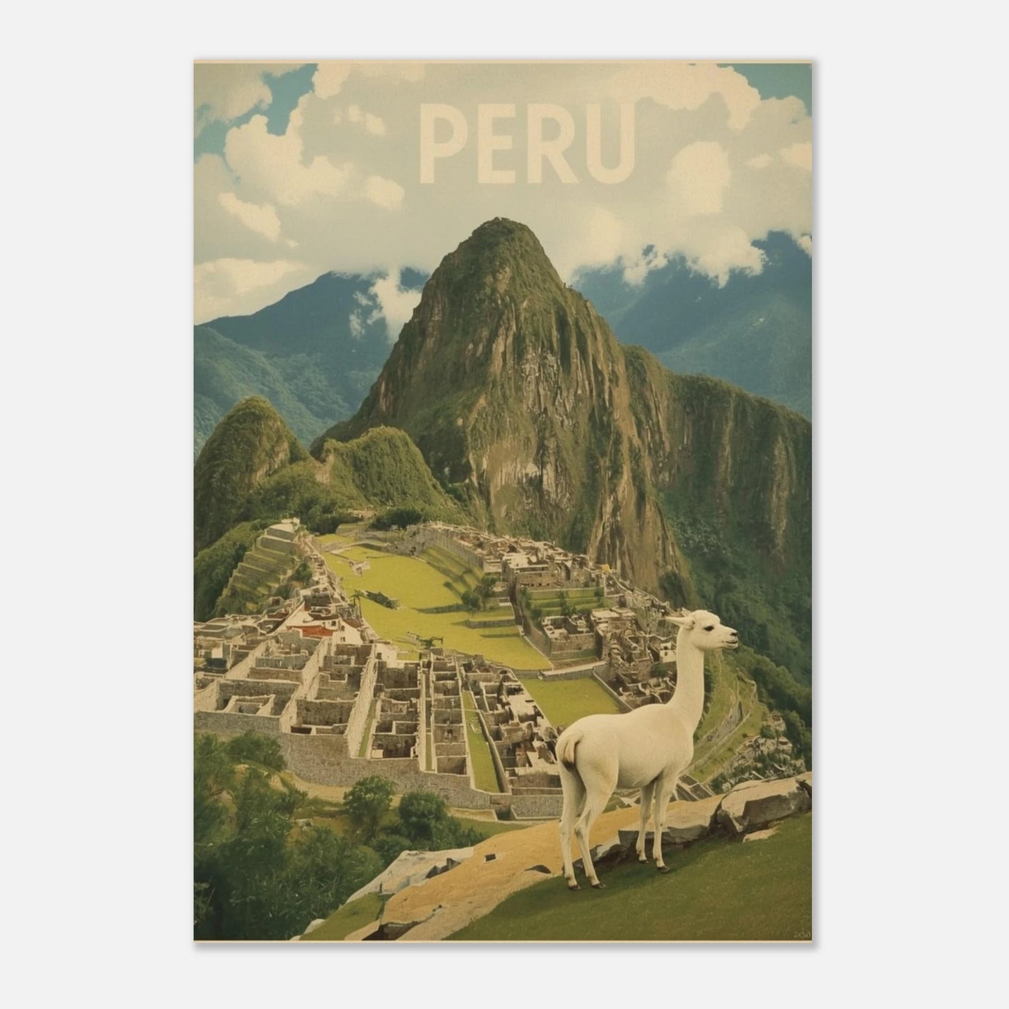 Konstnärligt print av en lama i Peru utan ram mot ljusgrå bakgrund