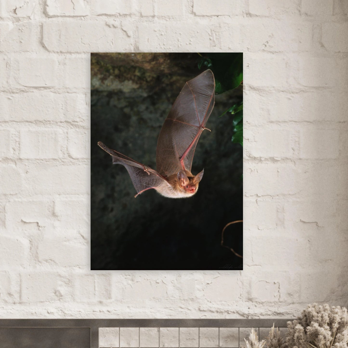 Atmosfäriskt naturmotiv av en fladdermus i rörelse – Fotorealistisk poster