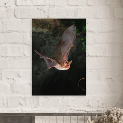 Atmosfäriskt naturmotiv av en fladdermus i rörelse – Fotorealistisk poster