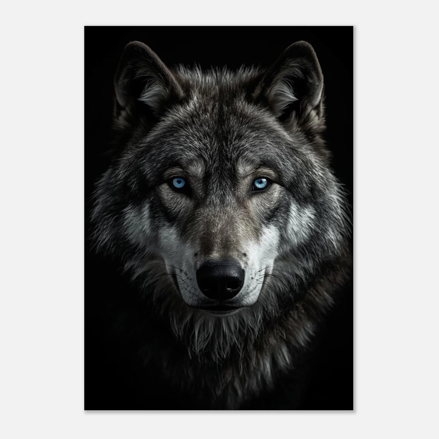 Majestätisk varg i profil framifrån med genomträngande blick, konstnärligt djurmotiv