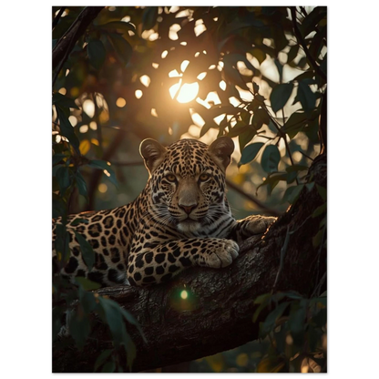 Fläckig leopard i viloposition på grov gren – naturmotiv för väggkonst