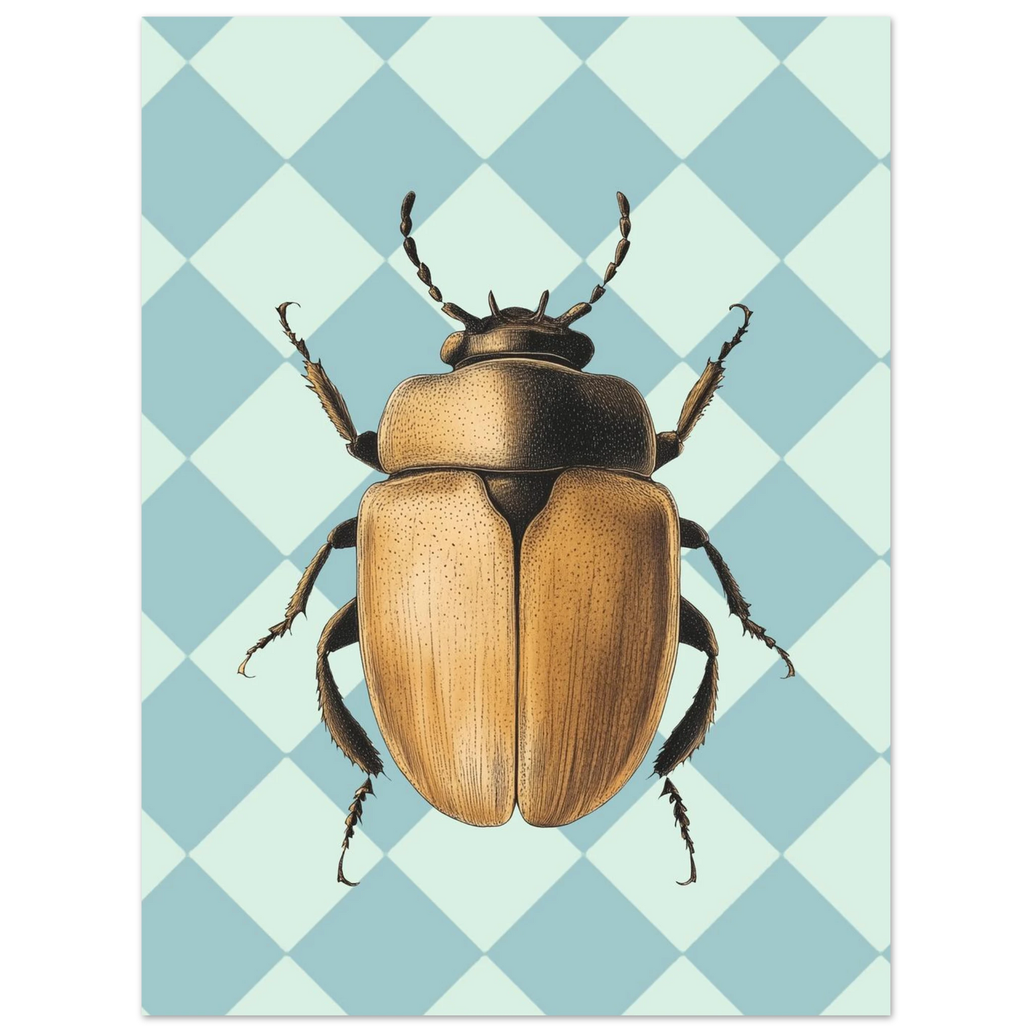Modern entomologisk plansch föreställande en brun skalbagge på geometrisk bakgrund