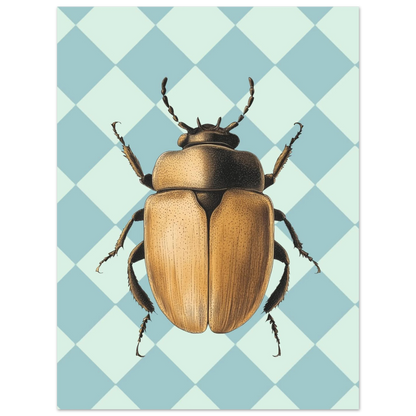 Modern entomologisk plansch föreställande en brun skalbagge på geometrisk bakgrund