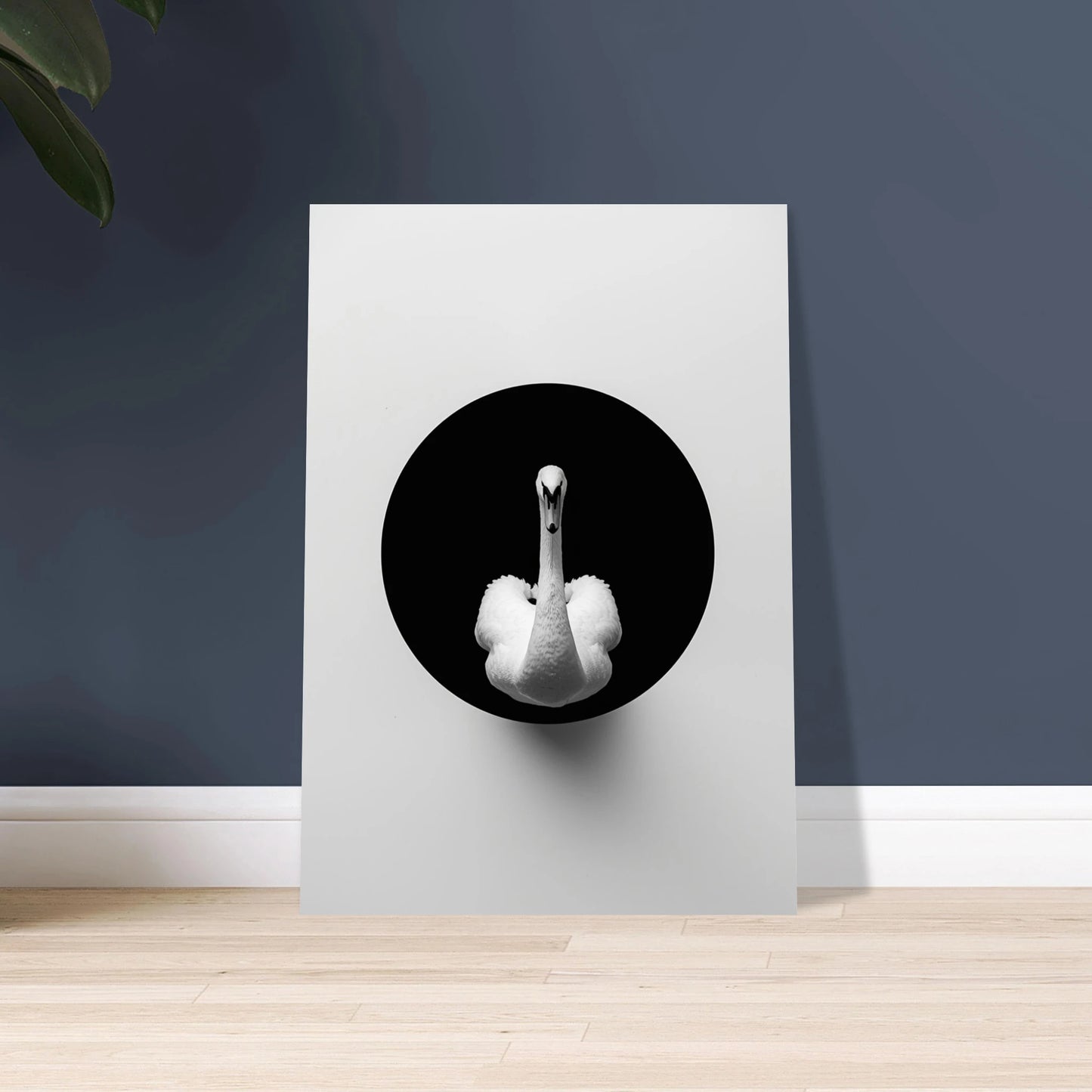 Svan i svart cirkel, elegant och minimalistisk djurposter