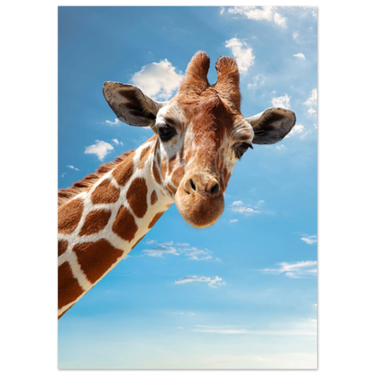 Lekfullt motiv av en giraff som kikar fram från sidan – Fotorealistisk poster