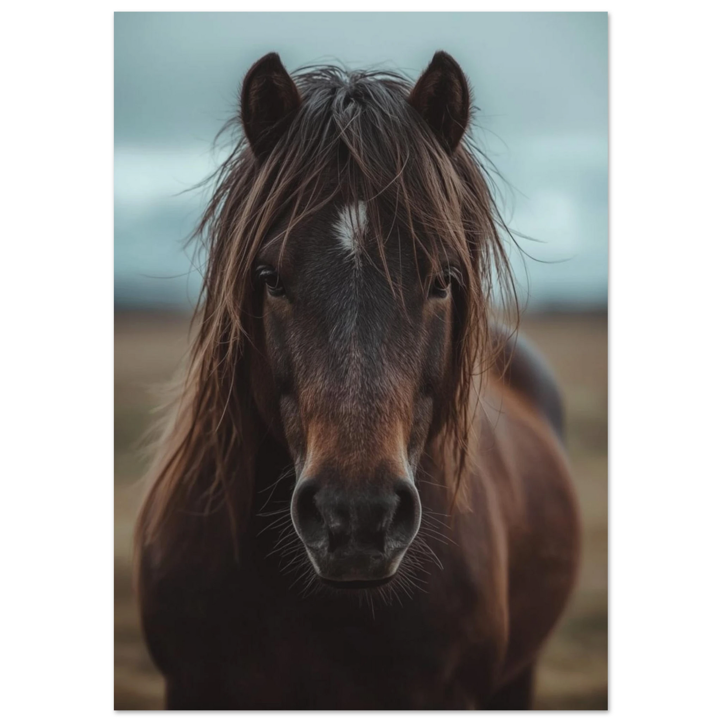 Porträtt av en häst i ett dämpat nordiskt landskap – fotorealistisk poster