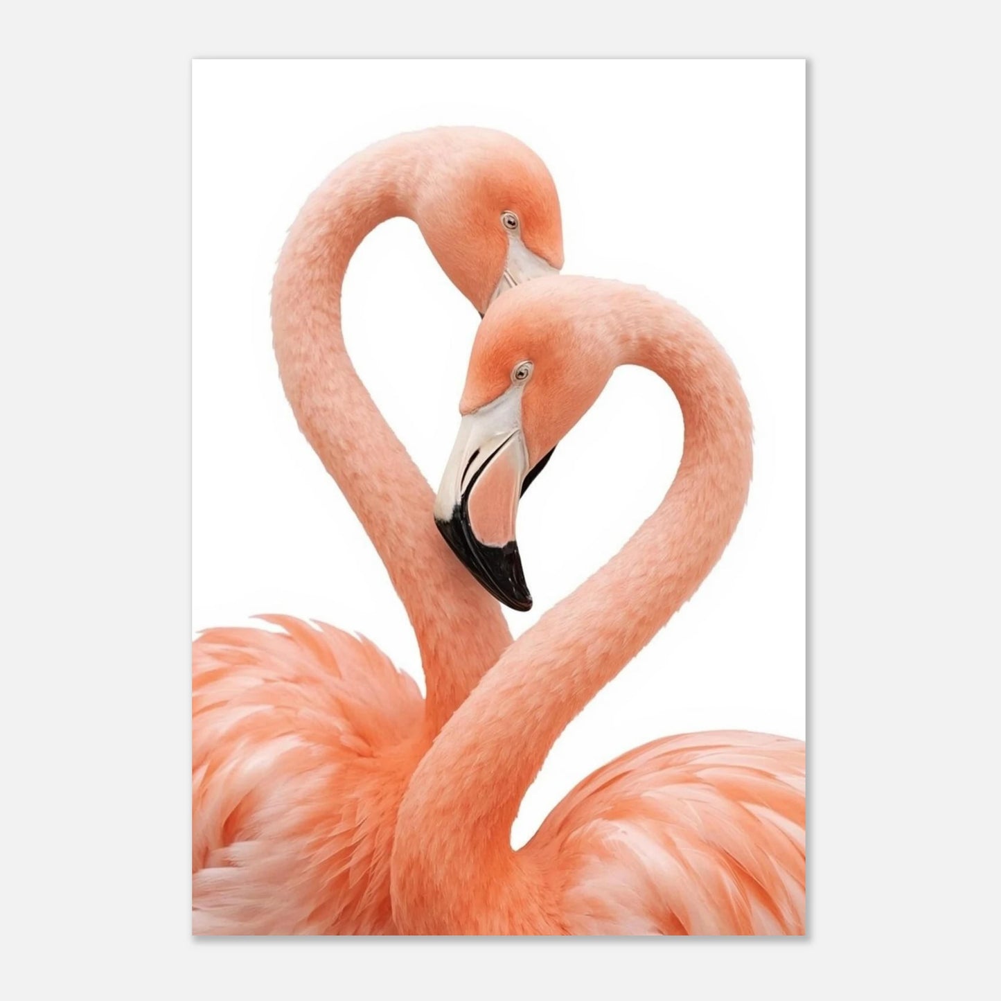 Graciösa flamingofåglar med rosa fjäderdräkt i en romantisk komposition, tavla