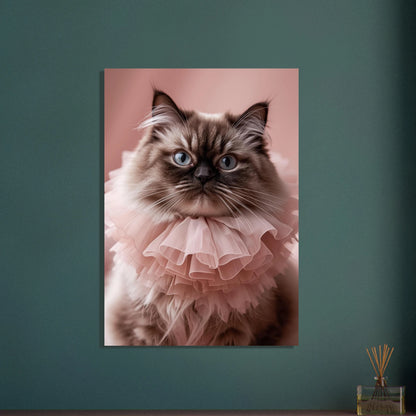 Perserkatt med blå ögon och rosa krage, drömsk stämning.