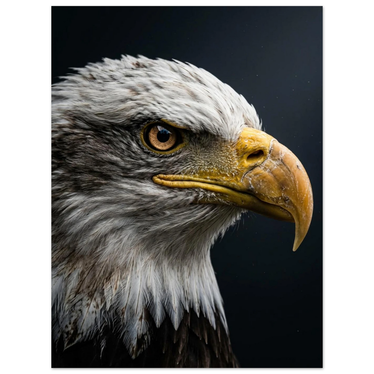 Fotorealistisk örnposter som visar rovfågelns intensiva blick och kraftfulla näbb