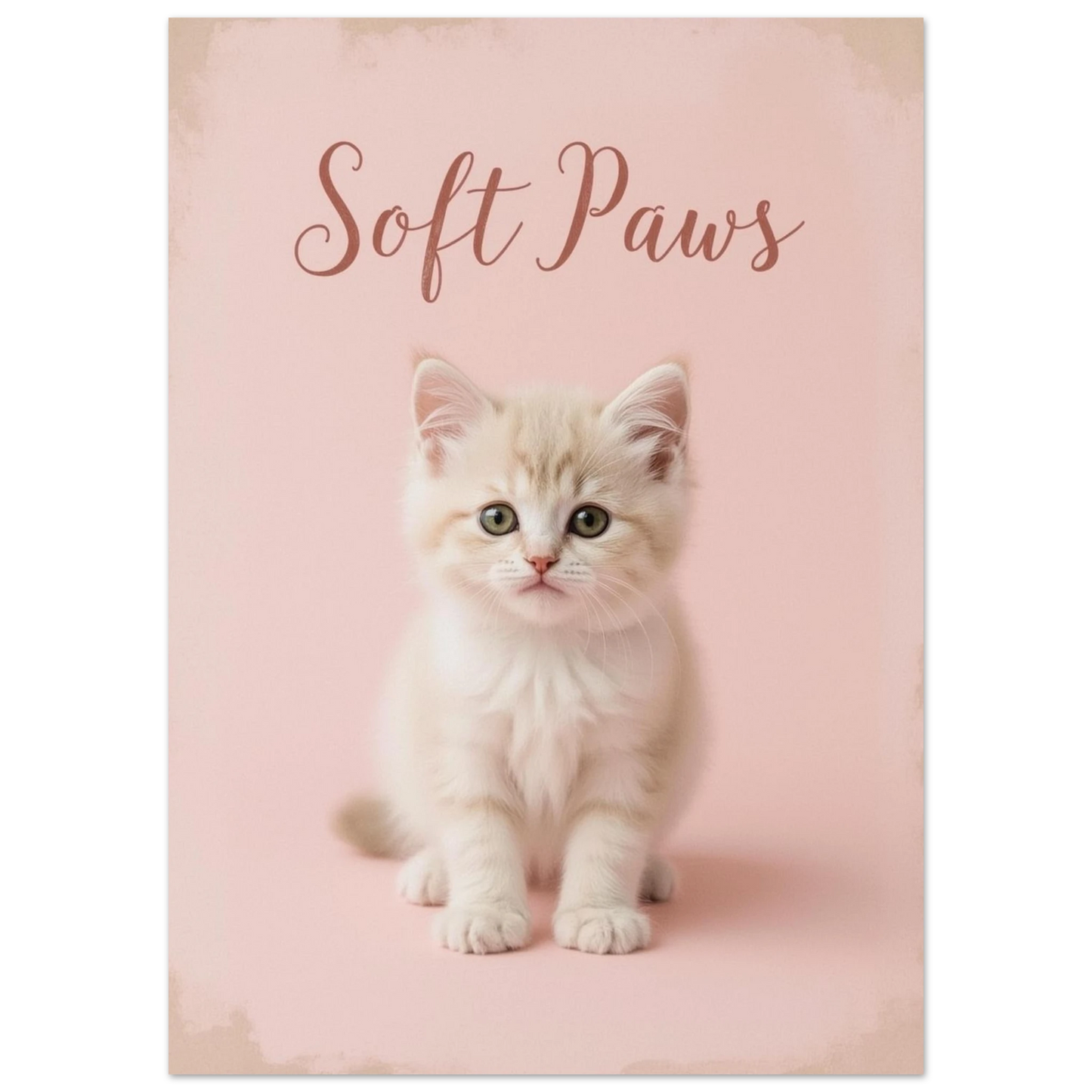 Närbild på fluffig liten kattunge, rosa bakgrund med texten Soft Paws