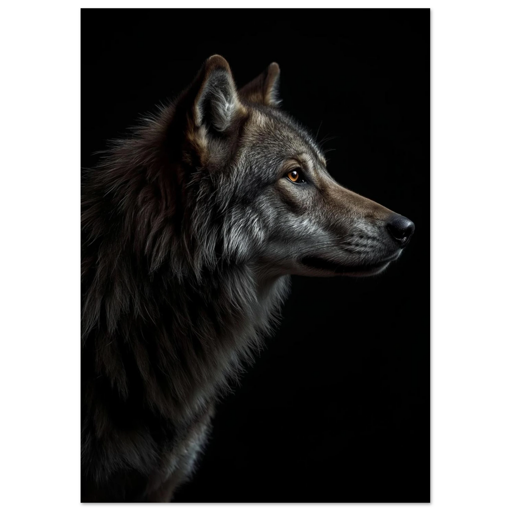 Vargens huvud i profil med fokus på ögat – Fotorealistisk poster