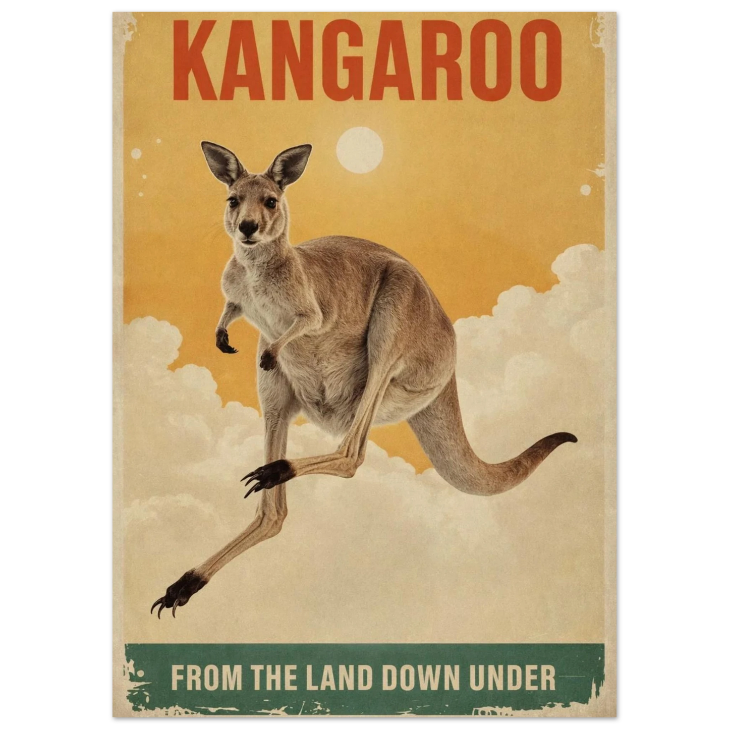Närbild på en känguruillustration i klassisk vintageinfluerad design – Retro poster