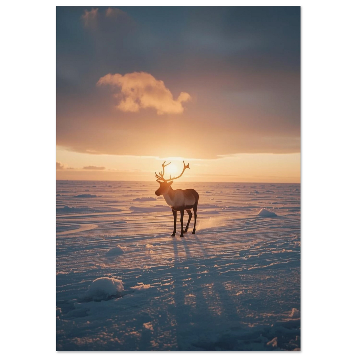 Arktiskt naturmotiv med en ensam ren i glittrande snö och solljus