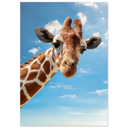Detaljerad bild av en giraffs ansikte och hals mot en sommarhimmel – Fotorealistisk poster