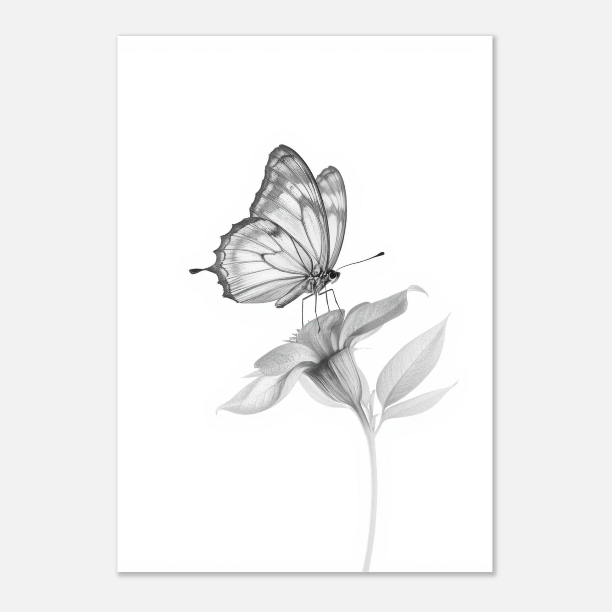 Botanisk poster med fjäril och blomma – gråskalig illustration på vit bakgrund