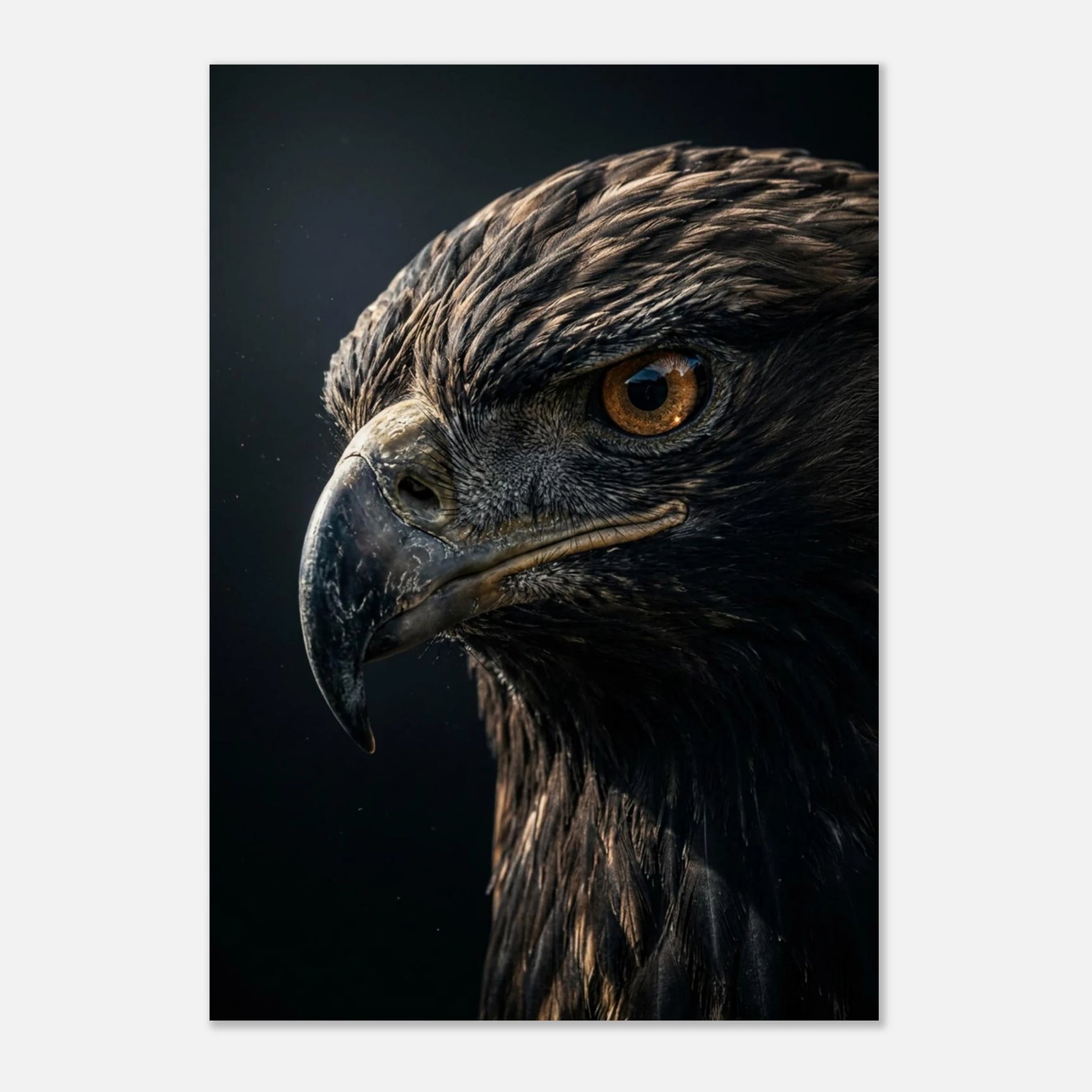 Majestätisk örn med skarp näbb och genomträngande öga i närbild.