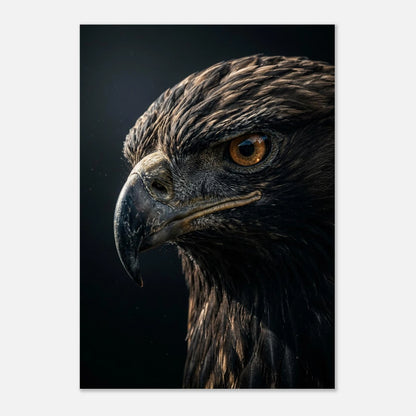 Majestätisk örn med skarp näbb och genomträngande öga i närbild.
