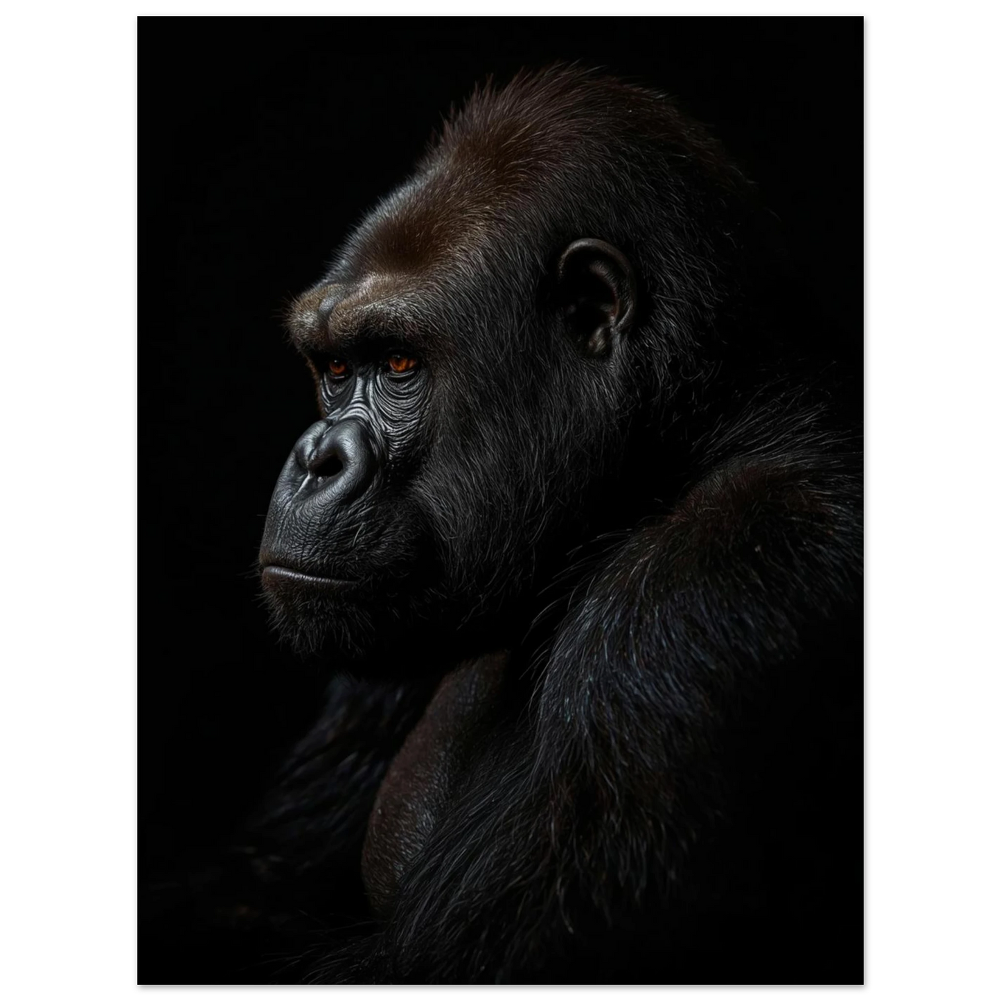 Kraftfullt fotografi av en gorilla som blickar utåt, svartvit känsla