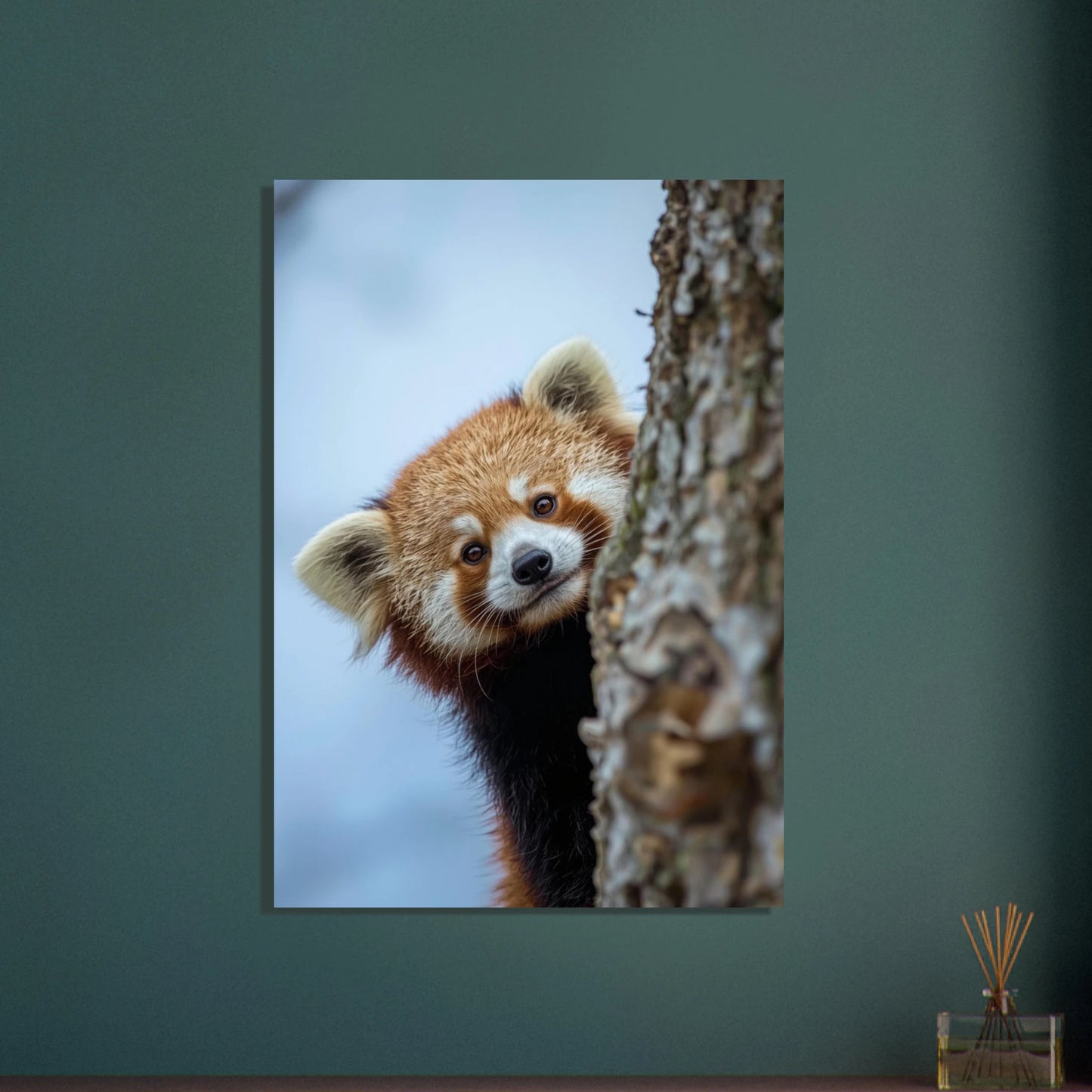 Röd panda kikar fram bakom trädstam med nyfiken blick.