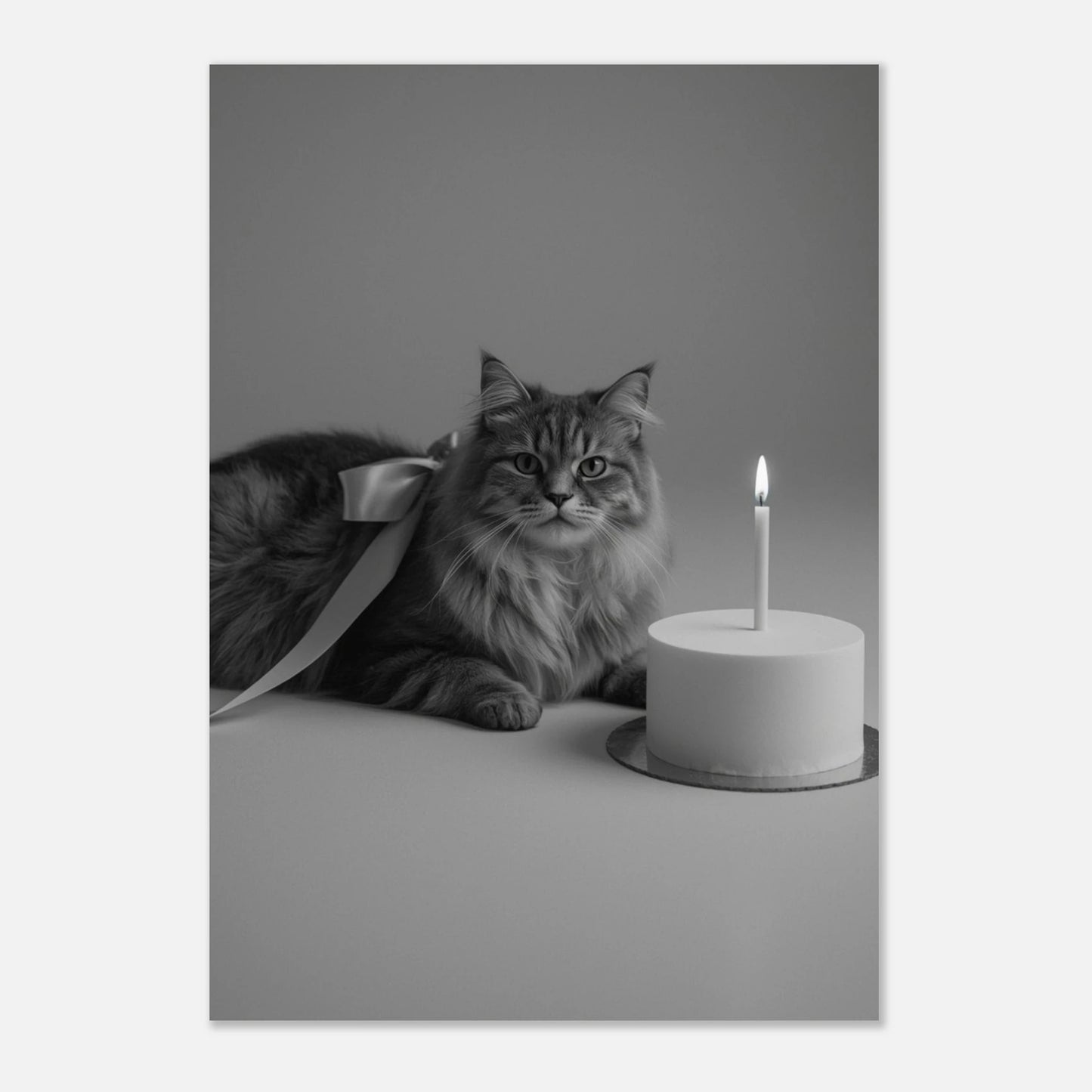 Filmisk djurbild av en katt och en minimalistisk tårta