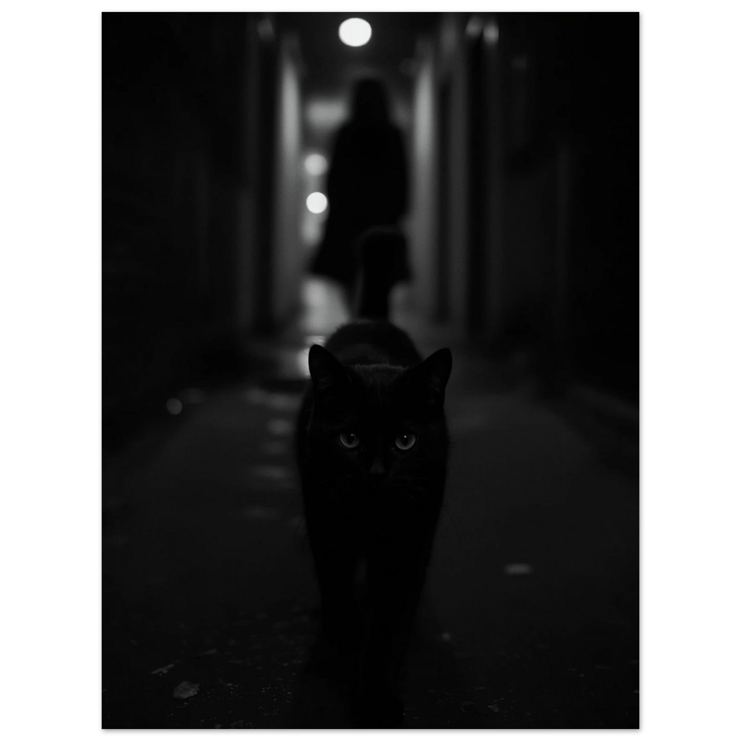 Svart katt som framträder ur mörkret, stilren monokrom väggkonst