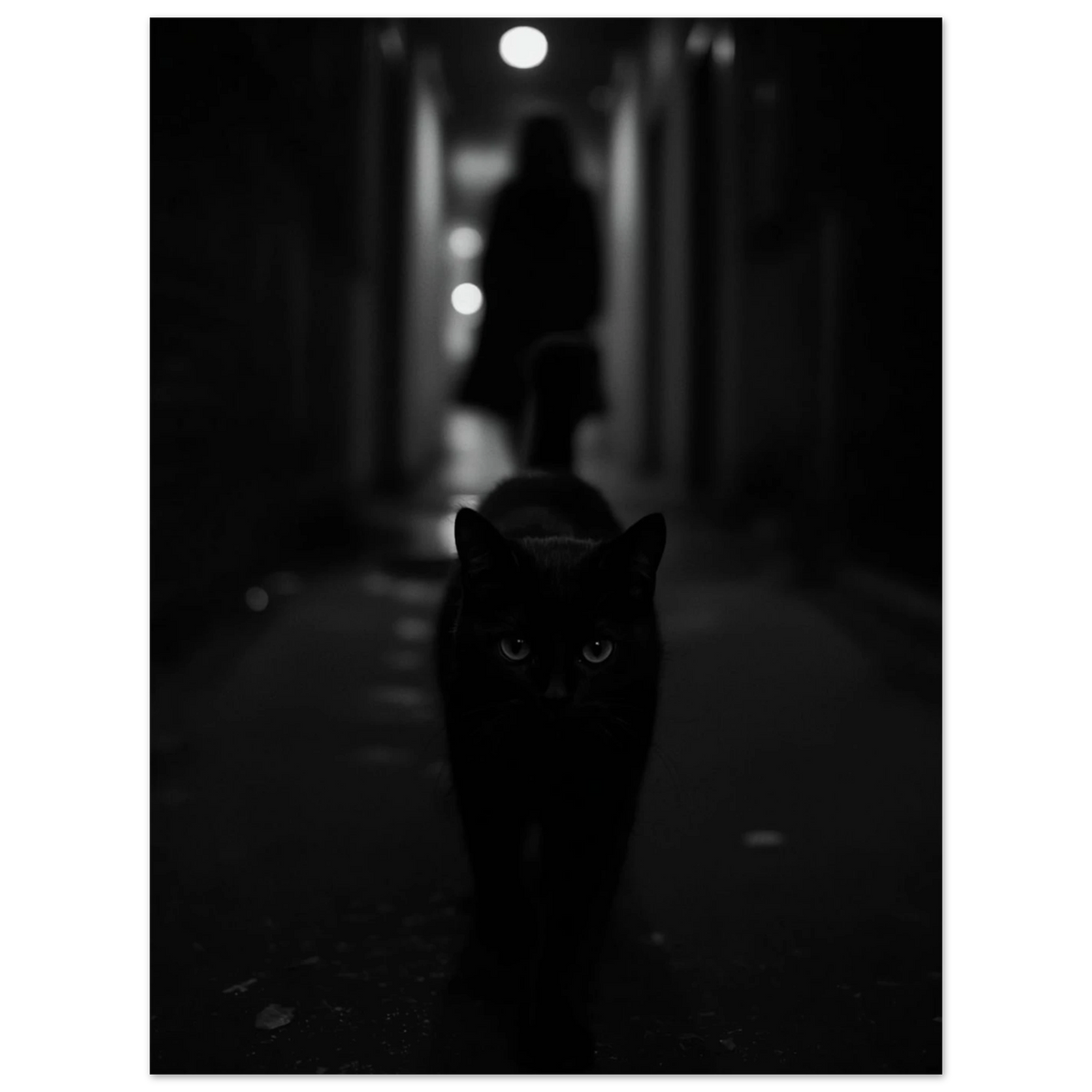 Svart katt som framträder ur mörkret, stilren monokrom väggkonst