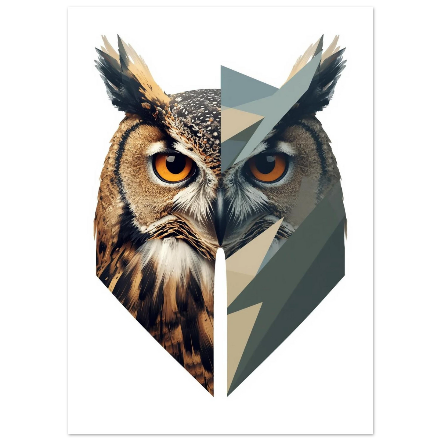 Närbild på uggla med orangea ögon och grafiska former – Tecknad poster