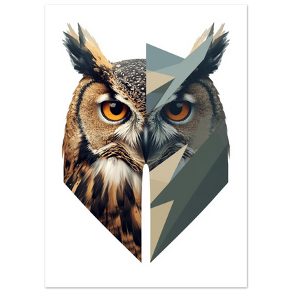 Närbild på uggla med orangea ögon och grafiska former – Tecknad poster