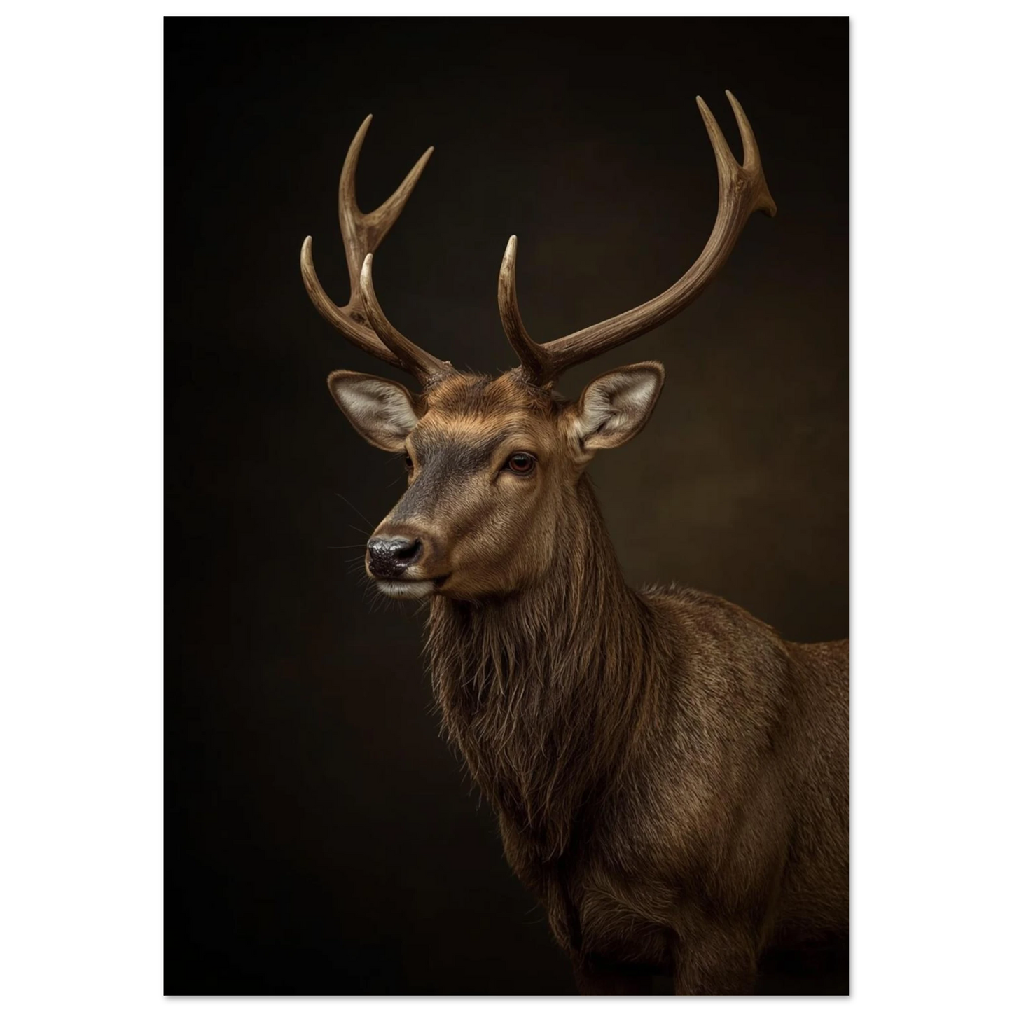 Kronhjort med ståtliga horn i dramatiskt studioljus – fotorealistisk djurposter