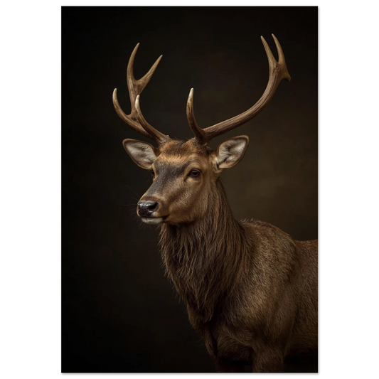 Kronhjort med ståtliga horn i dramatiskt studioljus – fotorealistisk djurposter