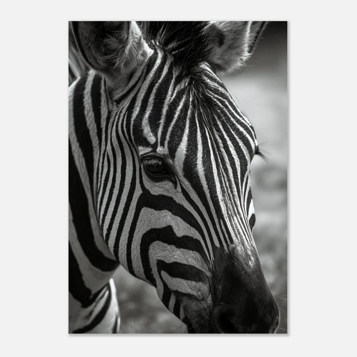 Minimalistiskt djurmotiv av en zebra på ljus bakgrund – modernt print