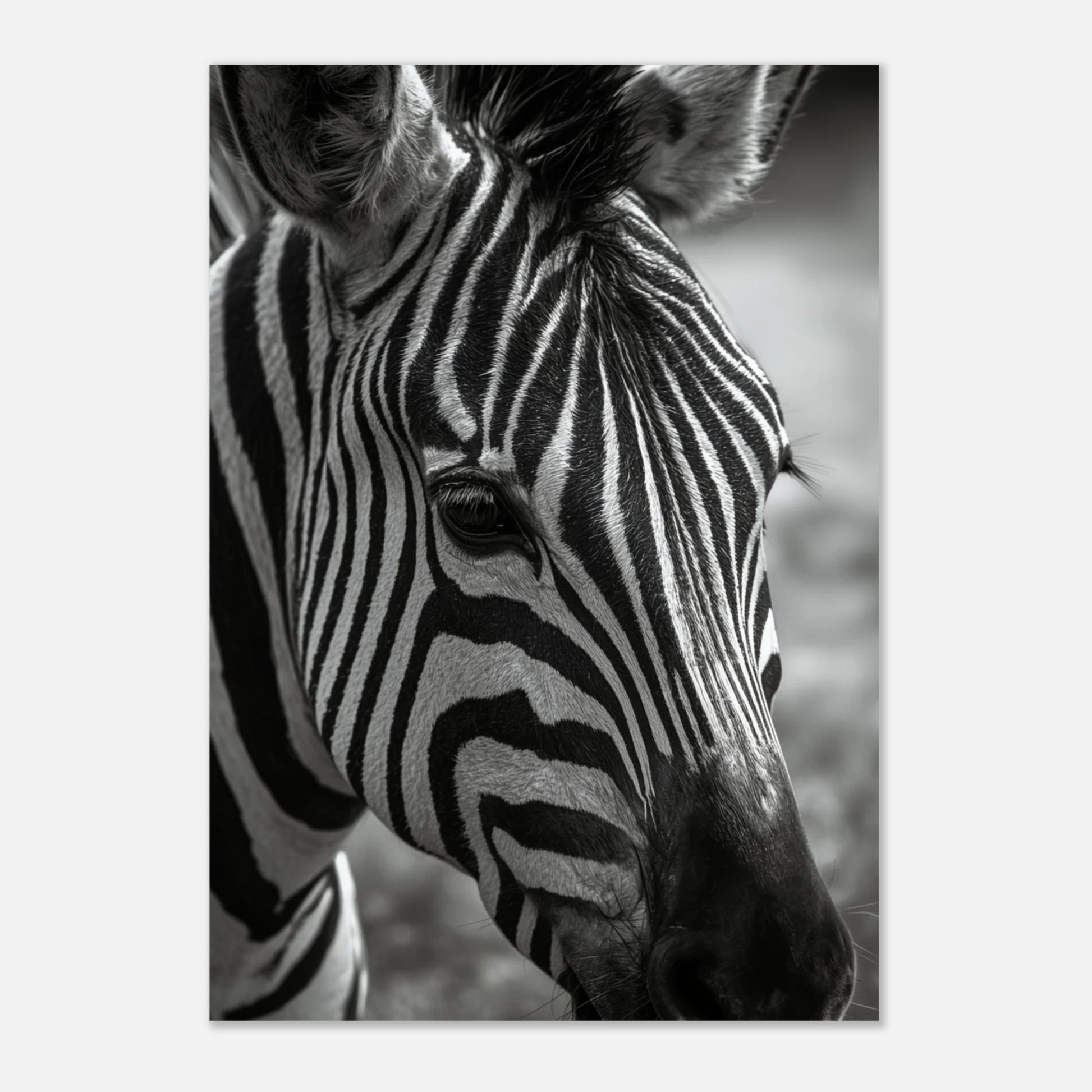 Minimalistiskt djurmotiv av en zebra på ljus bakgrund – modernt print