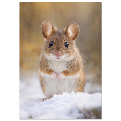 Söt skogsmus som sitter i vit snö och tittar framåt – fotorealistisk poster