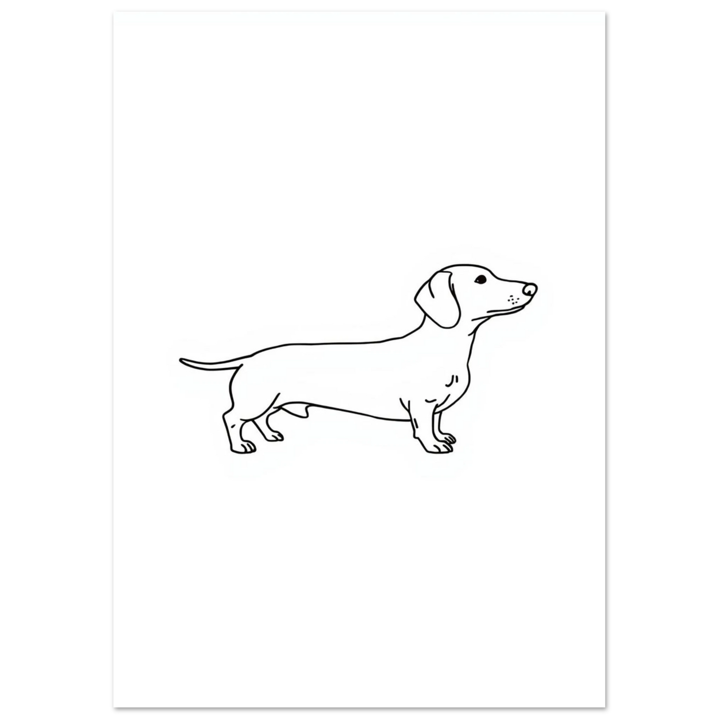 Stilren hundposter föreställande en tax i enkel grafisk stil