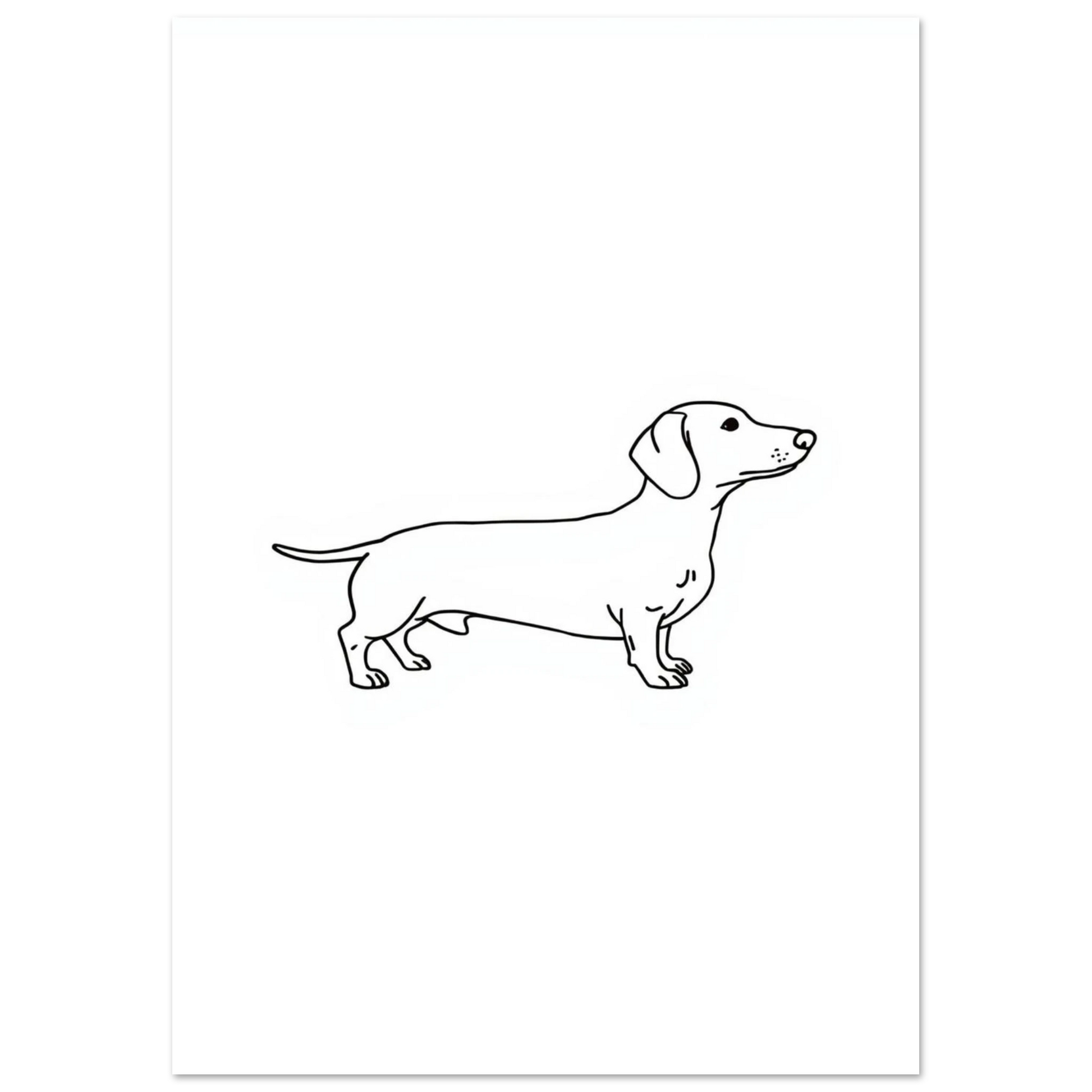 Stilren hundposter föreställande en tax i enkel grafisk stil