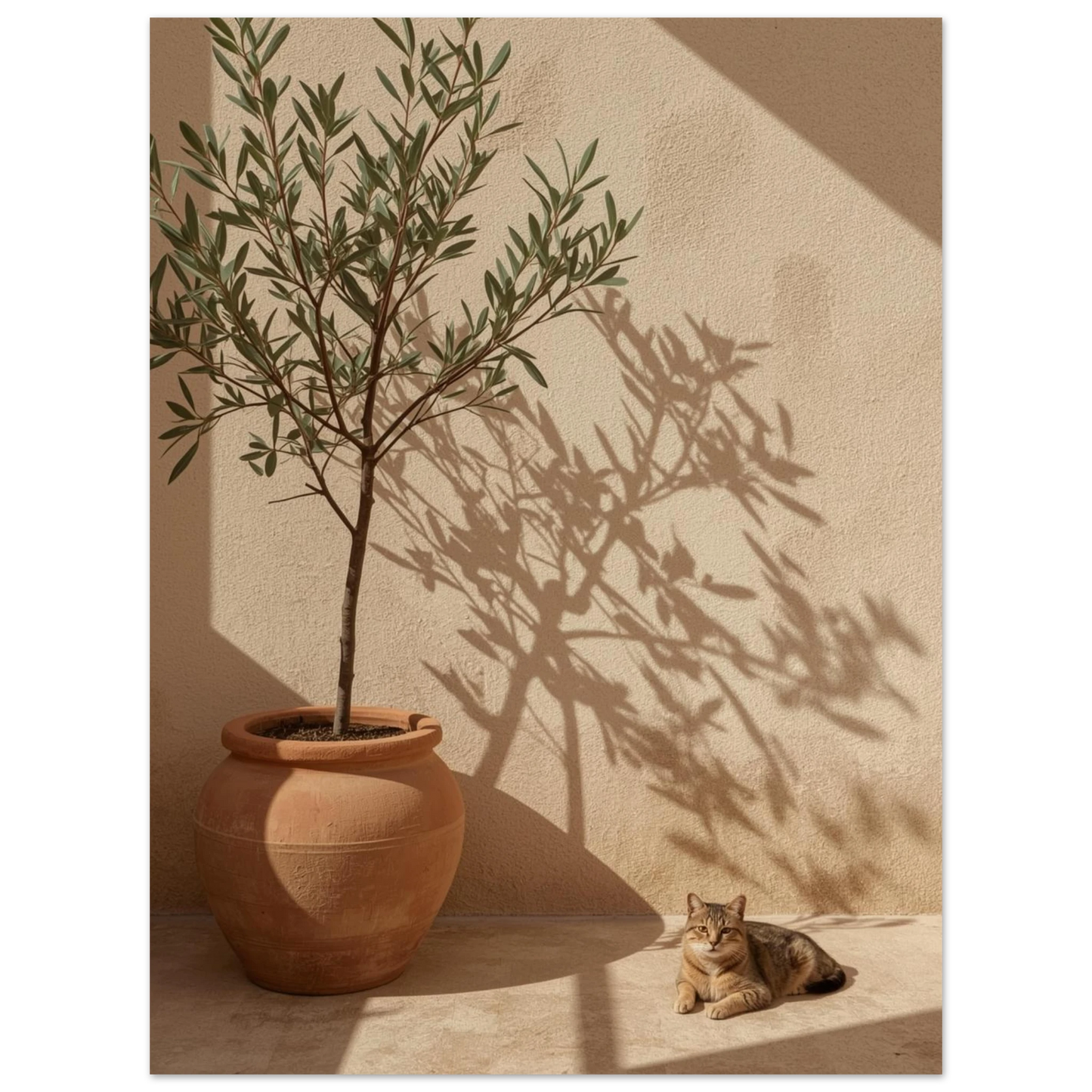 Minimalistisk fotokonst på en katt i gassande sol – naturmotiv