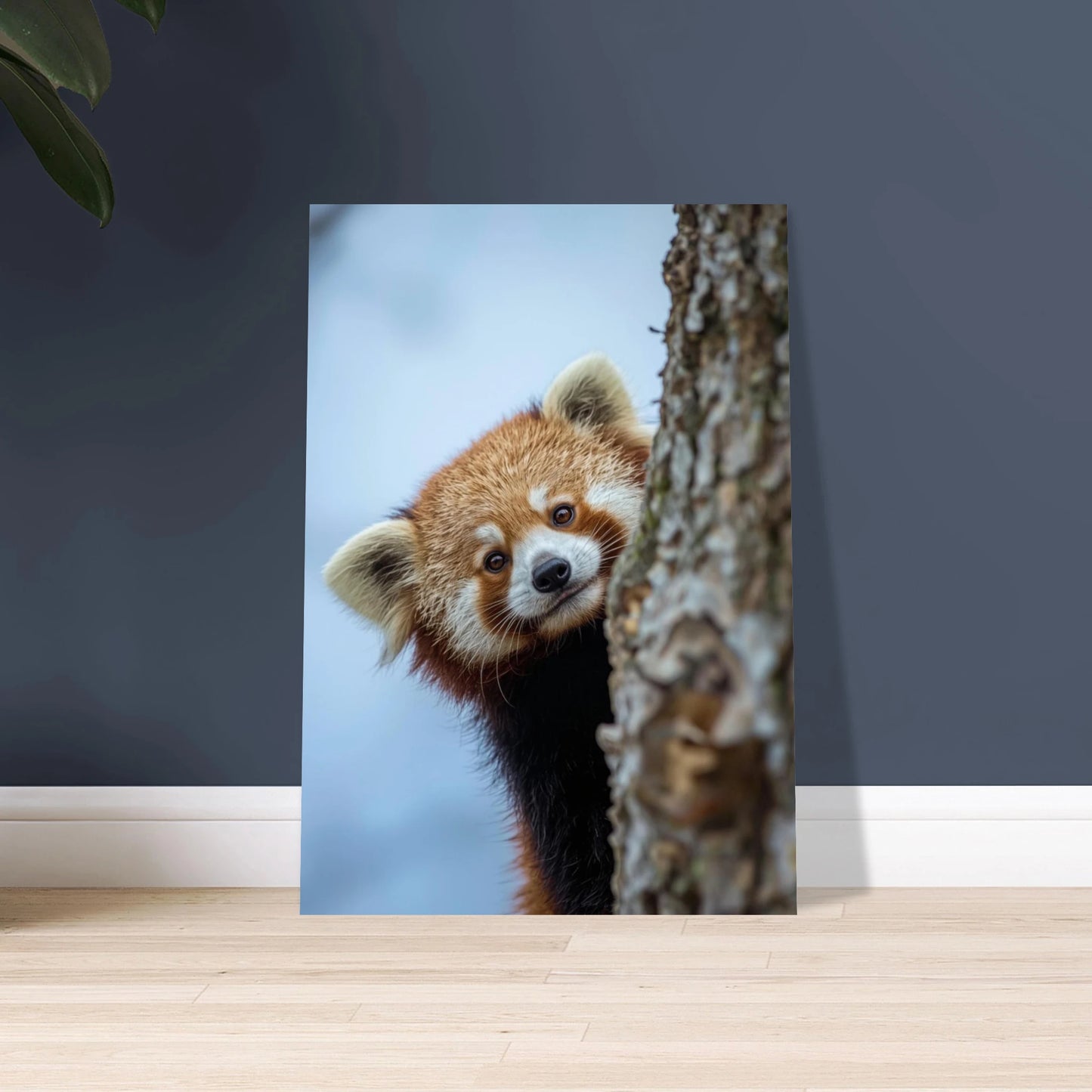 Röd panda kikar fram bakom trädstam med nyfiken blick.