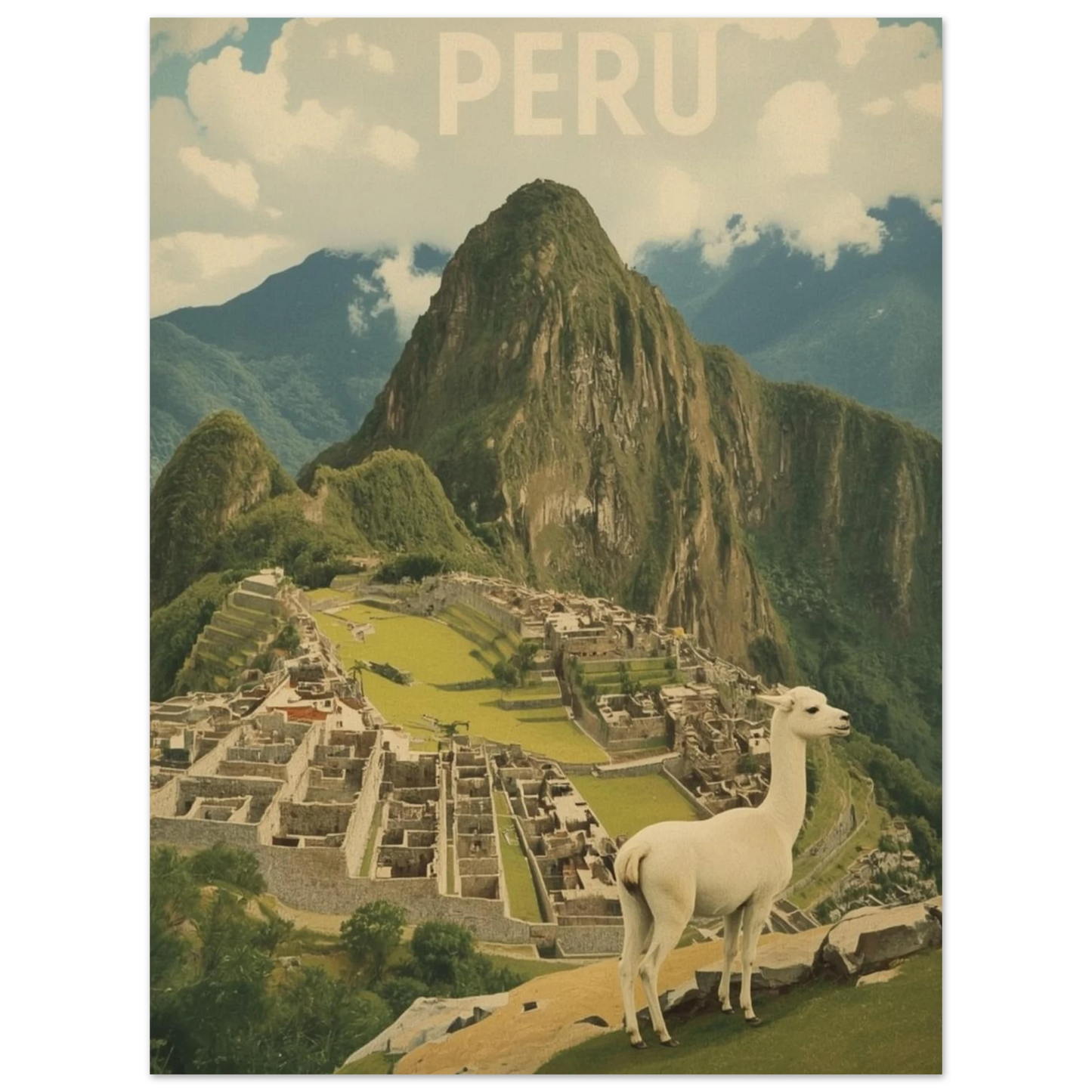 Vintage poster föreställande en lama vid Machu Picchu med svart tavelram