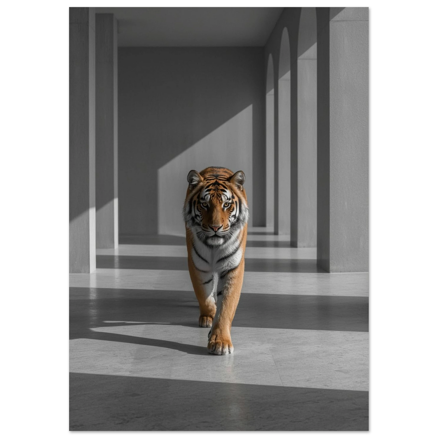 Tiger sedd rakt framifrån i en korridor med pelare och valv, ljus från höger – Fotorealistisk poster