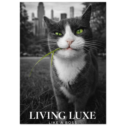 Närbild på katt med intensiv blick och texten Living Luxe Like A Boss – Fotorealistisk poster