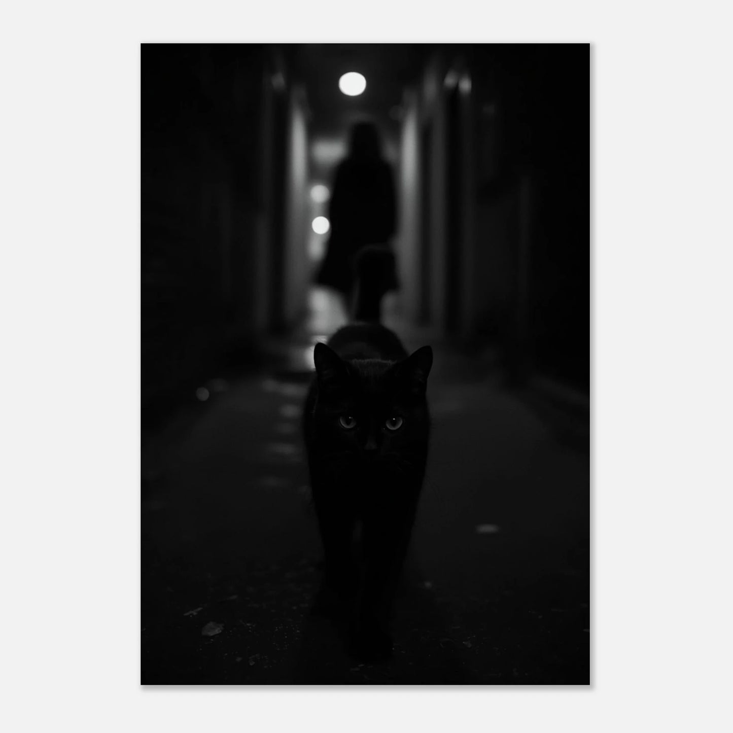 Konstnärligt fotografi av svart katt i en dimmig stadsmiljö