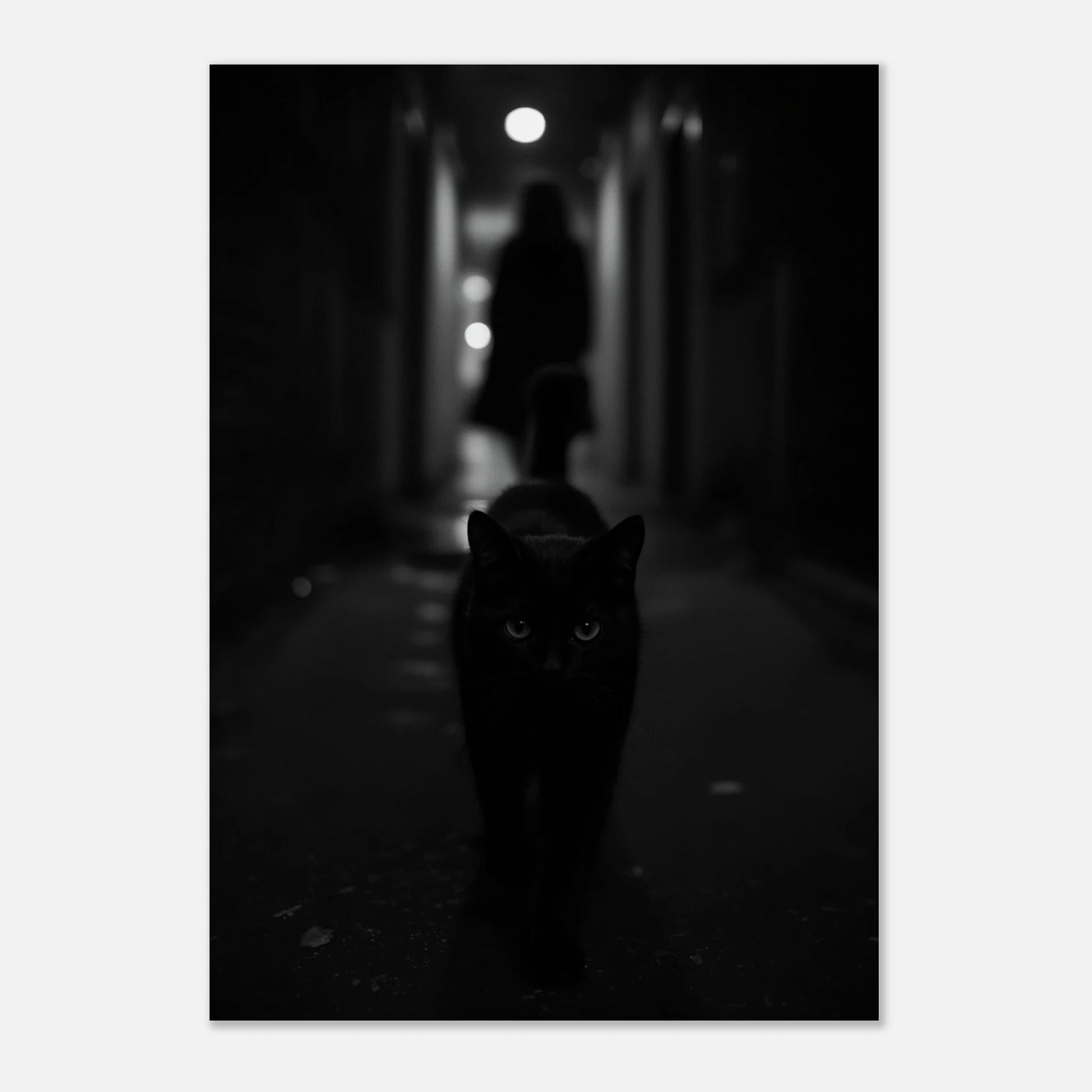 Konstnärligt fotografi av svart katt i en dimmig stadsmiljö