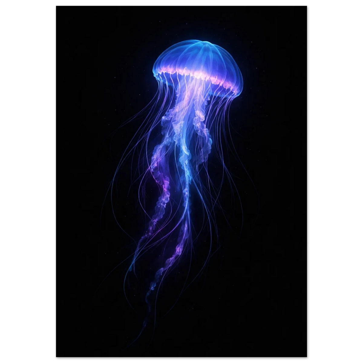 Närbild på bioluminiscent manet i lila och blått – djurmotiv